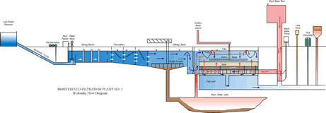 Purification Process